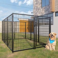 a dog sitting in front of a large metal cage on the grass near a building