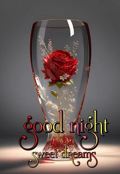 a red rose in a glass vase with the words good night sweet dreams