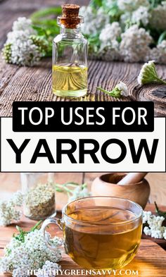 Do you have yarrow growing in your garden? This beautiful, tough, and medicinally useful plant is worth getting to know. Find out how you can use yarrow to address fevers, cuts, and more. | yarrow benefits | medicinal plants | yarrow uses | herbal remedies | Yarrow Medicinal Uses, Yarrow Plant Benefits, Yarrow Benefits, Growing Yarrow, Yarrow Uses, Herbal Grimoire, Plant Remedies, Yarrow Plant, Herbal Witch