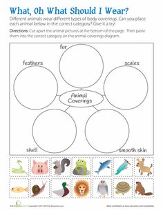 an animal life cycle worksheet for kids to learn about what animals are in the wild