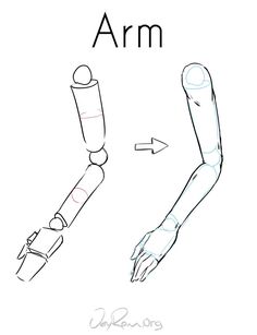 the arm and foot are shown in this drawing