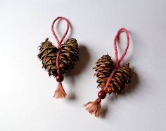 two pine cones with tassels are hanging from twine strings on a white surface