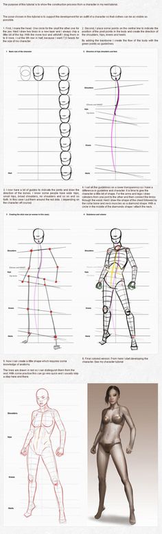 an image of different types of body shapes and their functions in the human body, with text