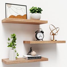 two wooden shelves with books, plants and an alarm clock on one shelf next to each other