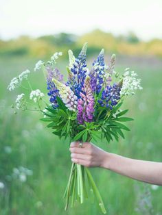 a person holding a bouquet of flowers in their hand on the grass field with wildflowers