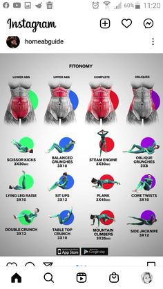 Workout Anatomy, Ab Core Workout, Trening Fitness, Gym Routine, Body Workout Plan, Best Exercises, Workout Plan Gym