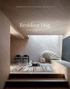 a magazine cover with a dog laying on the floor