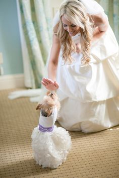 a woman in a wedding dress is petting a small dog on the floor with her hand