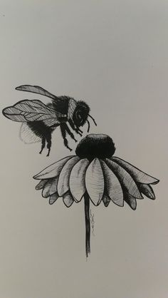 Bee Drawing, Bee Painting, Bee Tattoo, Desenho Tattoo, Bee Art, Urban Sketchers, Ink Drawings, Arte Sketchbook, Pencil Art Drawings