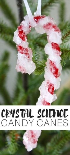 a candy cane ornament hanging from a christmas tree with the words crystal science on it