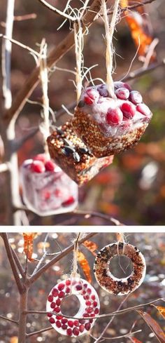 two pictures of some food hanging from a tree