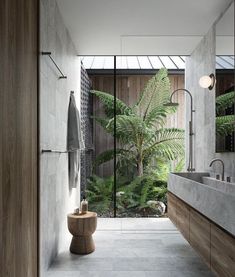 a bathroom with a large plant in the corner and glass doors leading to another room