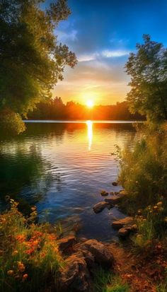 the sun is setting over a lake with rocks and flowers in front of it,