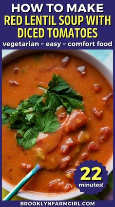 overhead of a bowl of creamy red broth with lentils and topped with fresh herbs Soup With Diced Tomatoes, Chunky Tomato Soup, Hearty Tomato Soup, Comfort Food Soup, Spicy Lentil Soup, Tomato Lentil Soup, Healthy Winter Meals