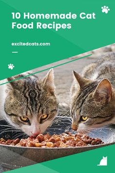 two cats eating food out of a metal bowl with the caption 10 homemade cat food recipes