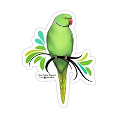 a green bird sitting on top of a branch with leaves around it's neck