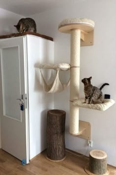 Cat, cat memes, cat aesthetic, cat doja, cat wallpaper, cat quotes, cat room, cat love, cat cute, cat art, cat condo, cat tree, cat funny, cat videos, cat condo, cat scratching post, funny cats, funny pets, catification, cat hammock, scratching posts, cat house, kitten, cat care tips, cattitude, Cat Hammock DIY, Cat hammock macrame, cat hammock crochet, cat hammock tutorial, cat minimalist furniture, cat furniture Cat Room Ideas Small Spaces, Cat Furniture Design, Cama Pet