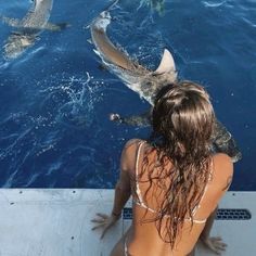 mamma mia | aes Sharks, Dolphins, A Woman, Water