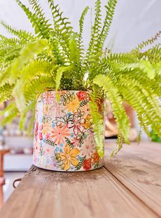 a potted plant sitting on top of a wooden table next to a green fern