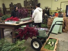 several people are looking at plants in the shop