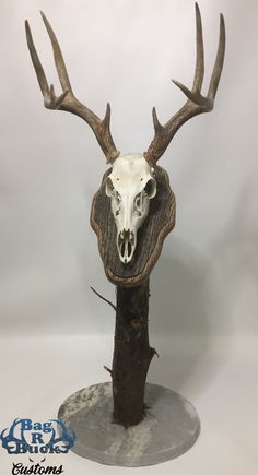 an animal head mounted on top of a wooden tree stump with antlers attached to it