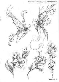 some drawings of flowers and butterflies