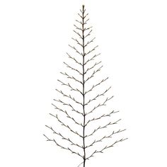 a tree with no leaves on it is shown in front of a white background,