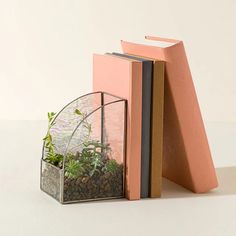 an open book sitting on top of a table next to a planter filled with succulents