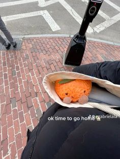 a person sitting on the ground with a stuffed animal in a bag