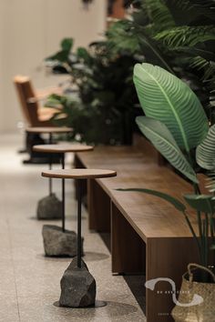 several tables and chairs are lined up in a room with plants on either side of them