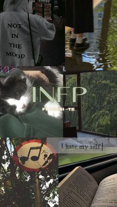 Infp Aesthetic Poster, Infp Aesthetic Pictures, Infp Profile, Infp Style, Introvert Aesthetic Pictures, Infp Mood, Infp Vibes, Mbti Aesthetic, Infp Characters