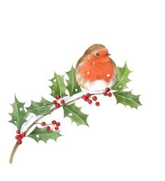 a watercolor painting of a bird on a holly branch