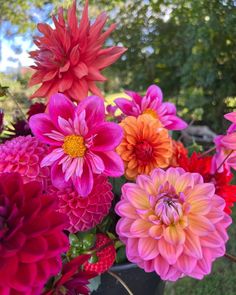 a bunch of flowers that are sitting in a vase on the ground with trees in the background