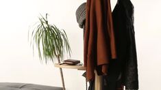 a coat rack with clothes hanging on it and a potted plant next to it