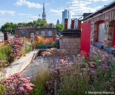 the rooftop garden is full of plants and flowers