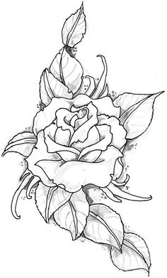 Rose Tattoo Image by ElTattooArtist Akvarel Illustration, Rose Drawing, Roses Drawing, Wood Burning Patterns, Trendy Tattoos, Flower Mandala, Rose Tattoos, Rose Tattoo, Coloring Pictures