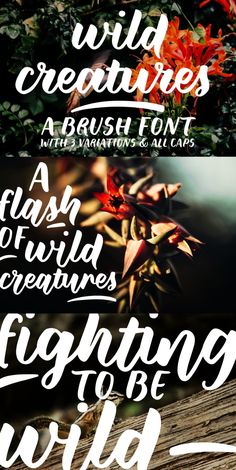 some type of lettering that is in different colors and sizes, with the words wild creatures on