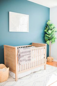 a baby's room with a crib, rug and potted plant on the floor