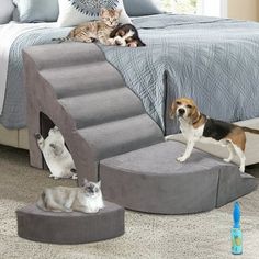 two dogs and three cats laying on top of a cat bed that is made to look like a house