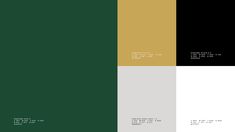 four different color palettes with white, black, green and yellow colors on them