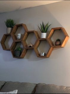 three wooden hexagonal shelves with plants on them hanging from the wall next to a couch