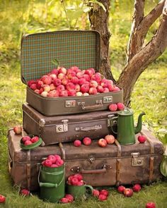 suitcases stacked on top of each other in the grass with apples piled up next to them