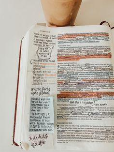 an open bible with writing on it and a potted plant in the corner next to it