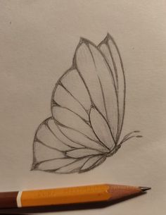 a pencil drawing of a butterfly on paper