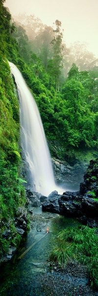 a large waterfall in the middle of a forest filled with lush green plants and trees