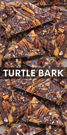 chocolate turtle bark with nuts and pecans on top, in front of the words turtle bark