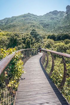 a wooden walkway leading to the top of a mountain