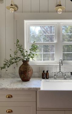 a kitchen sink sitting under a window next to a vase with plants in it on top of a counter