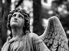 a statue of an angel with his eyes closed in the forest, looking up into the sky