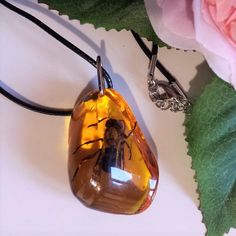 Amber Resin, Jewelry Real, Nature Necklace, Insect Jewelry, Bee Pendant, Gold Bee, Bee Necklace, Necklace Unique